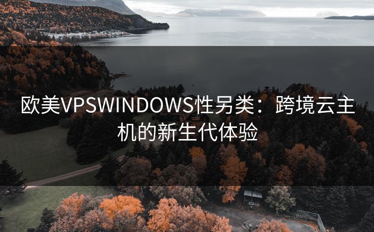 欧美VPSWINDOWS性另类:跨境云主机的新生代体验 欧美VPSWINDOWS性另类:跨境云主机的新生代体验