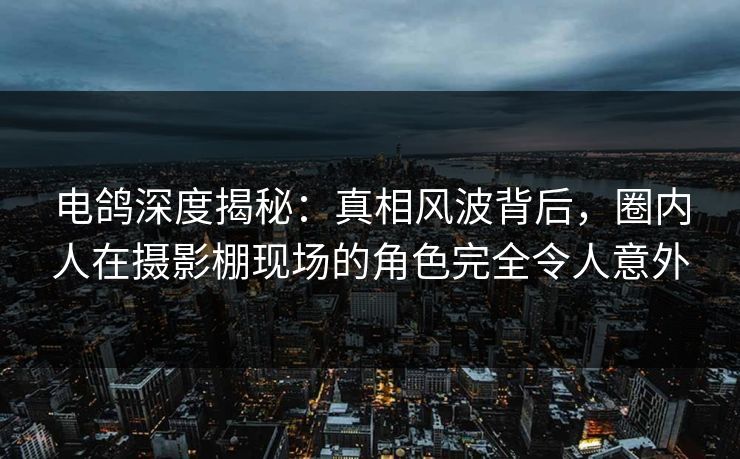 电鸽深度揭秘：真相风波背后，圈内人在摄影棚现场的角色完全令人意外