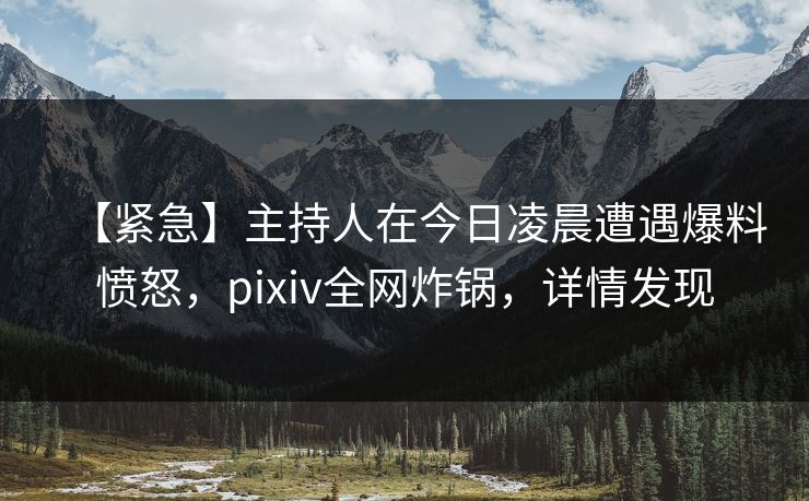 【紧急】主持人在今日凌晨遭遇爆料愤怒,pixiv全网炸锅,详情发现