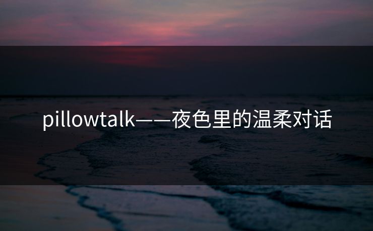 pillowtalk——夜色里的温柔对话